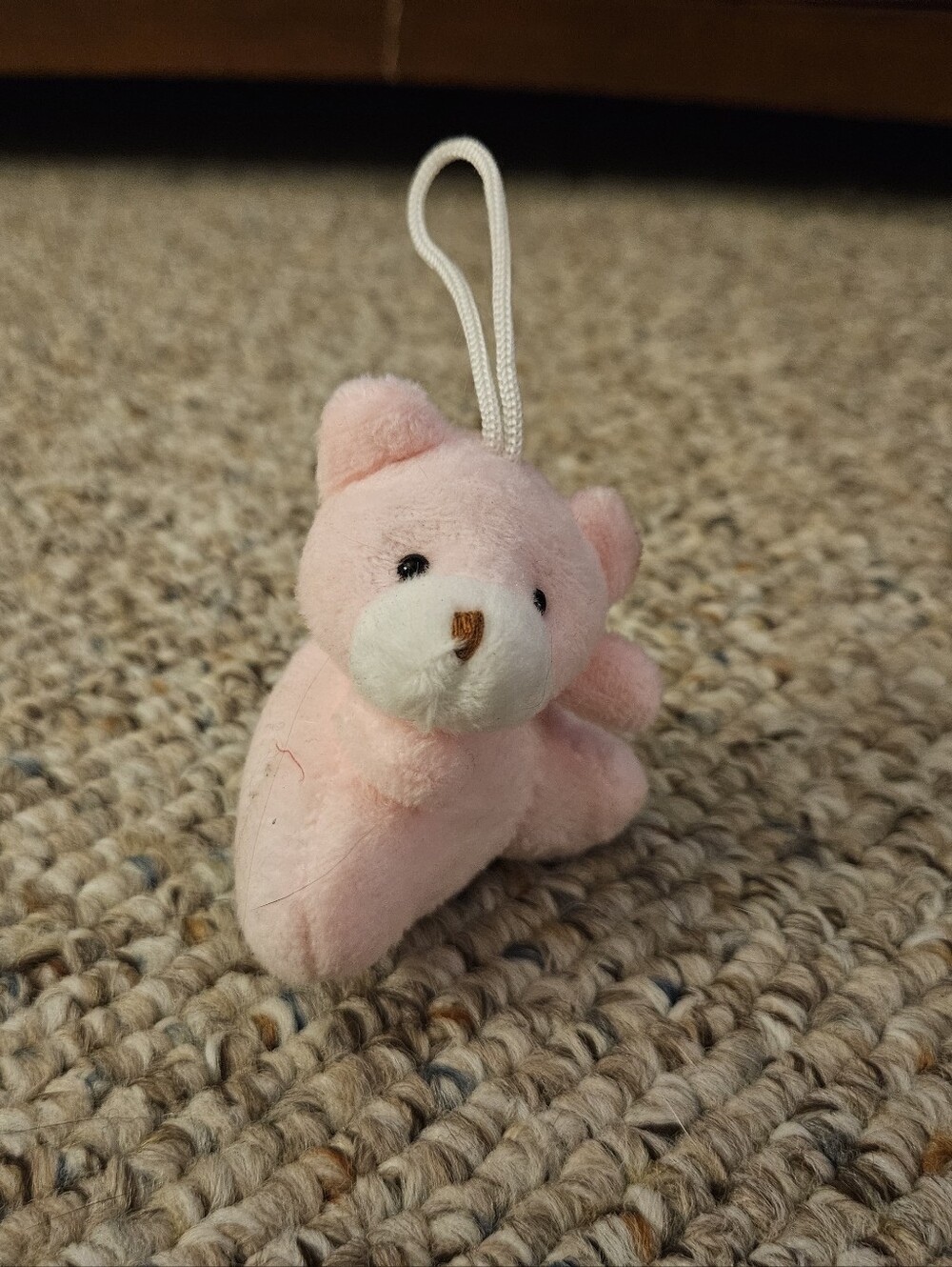 Pink Bear With A Loop